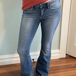 Articles of society Flare jeans